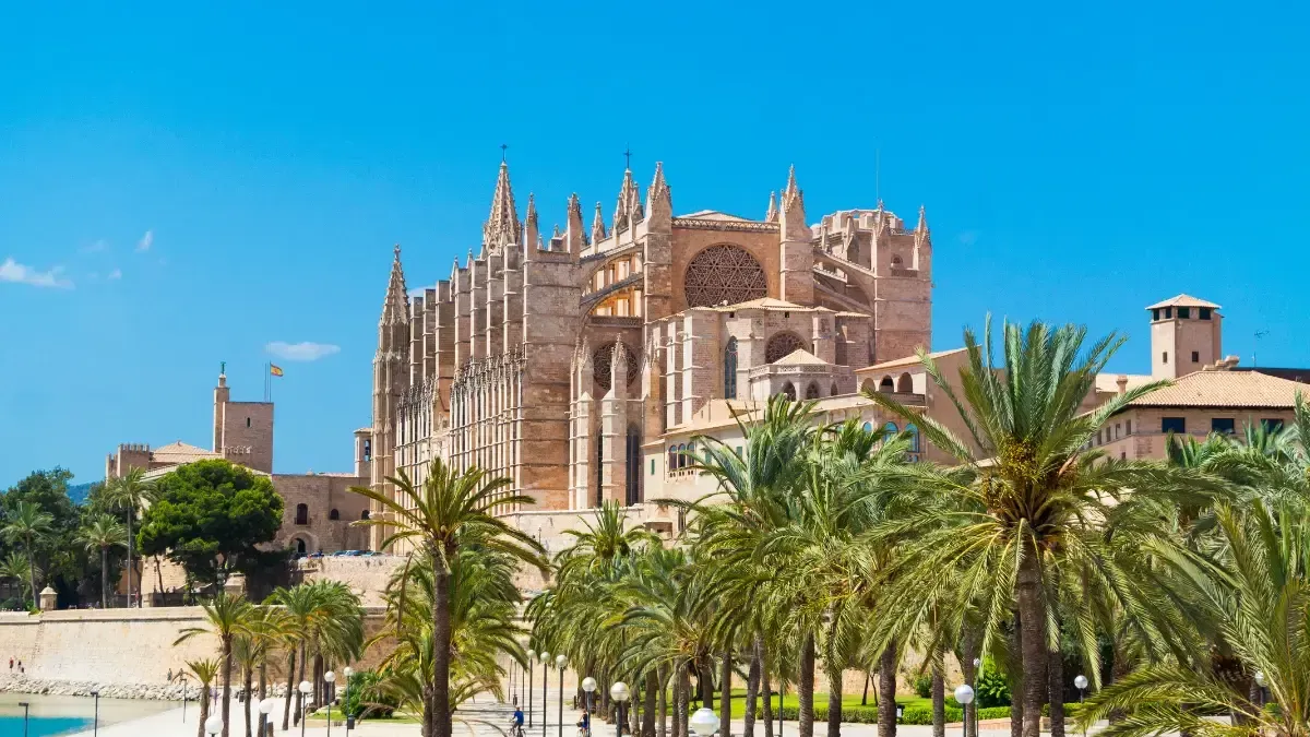 about Palma