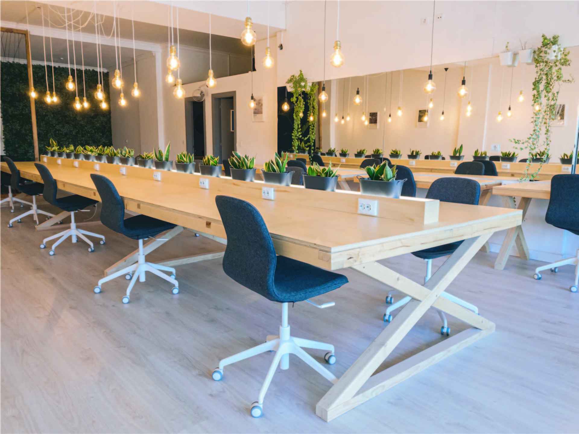 Lobo Cowork 2
