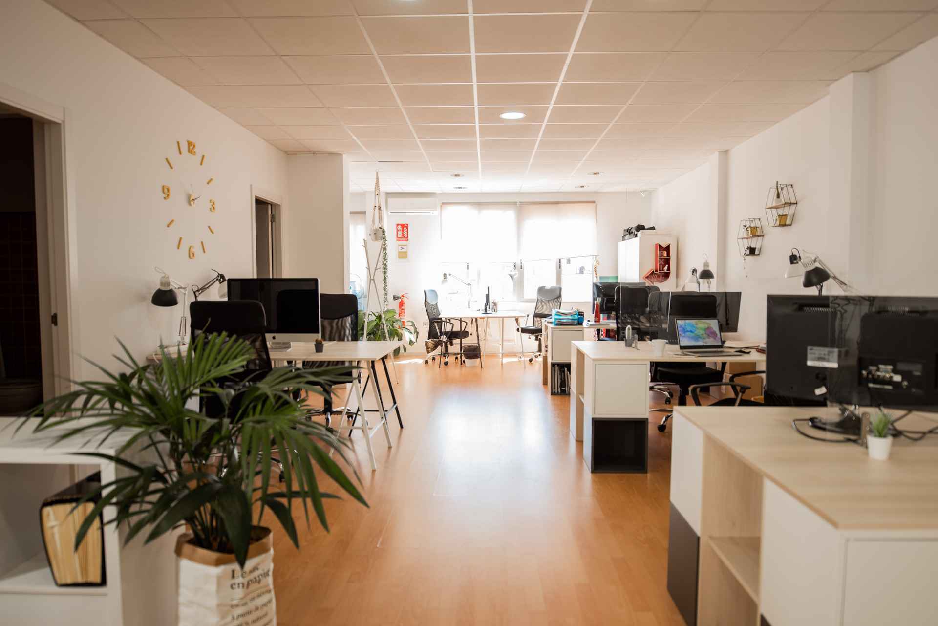 Llum Coworking Valencia