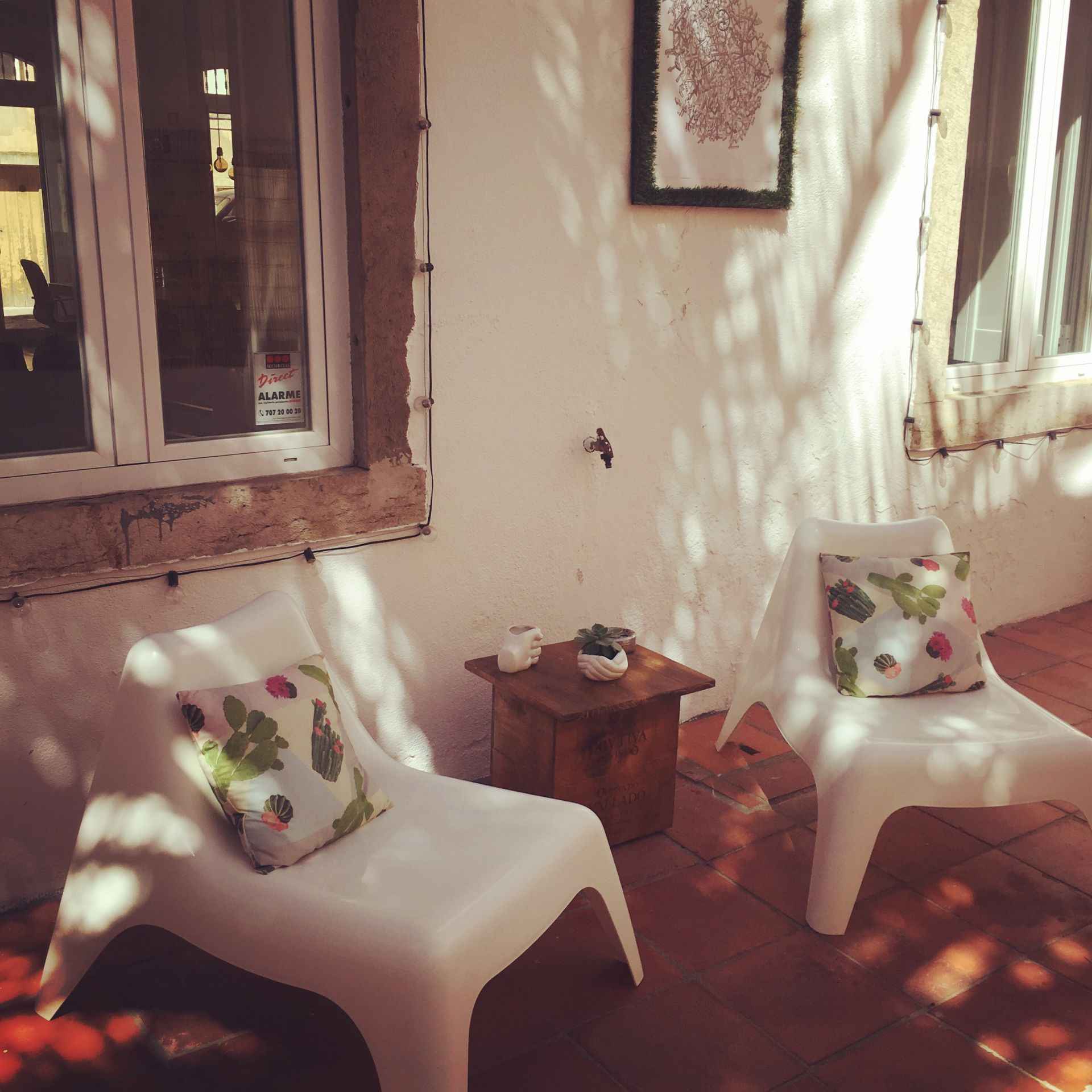 Lobo Cowork image 4