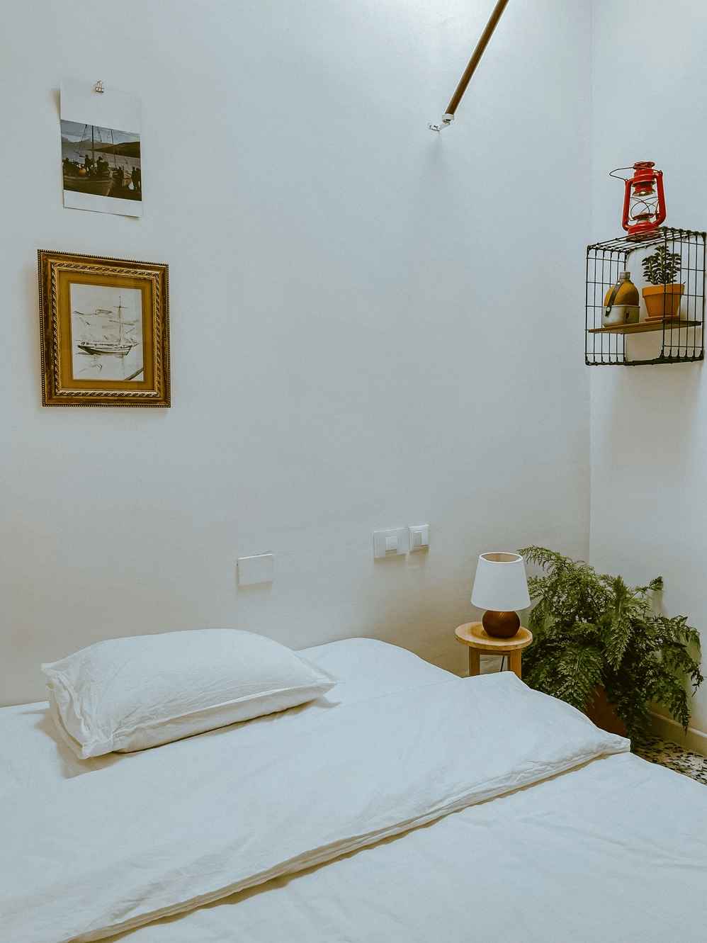 Single skylight room inspired by the ocean and the animals that call it home.