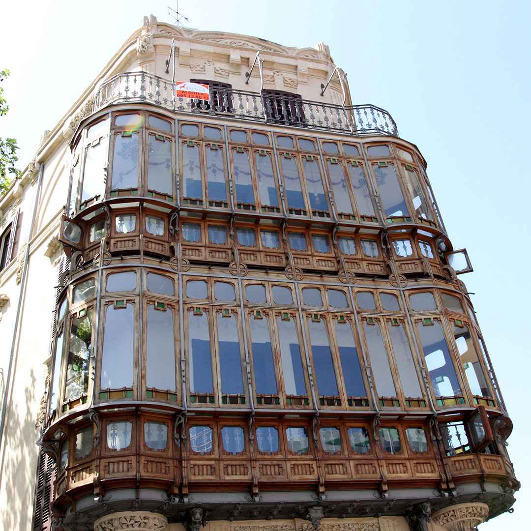 Palmapolitan image 2
