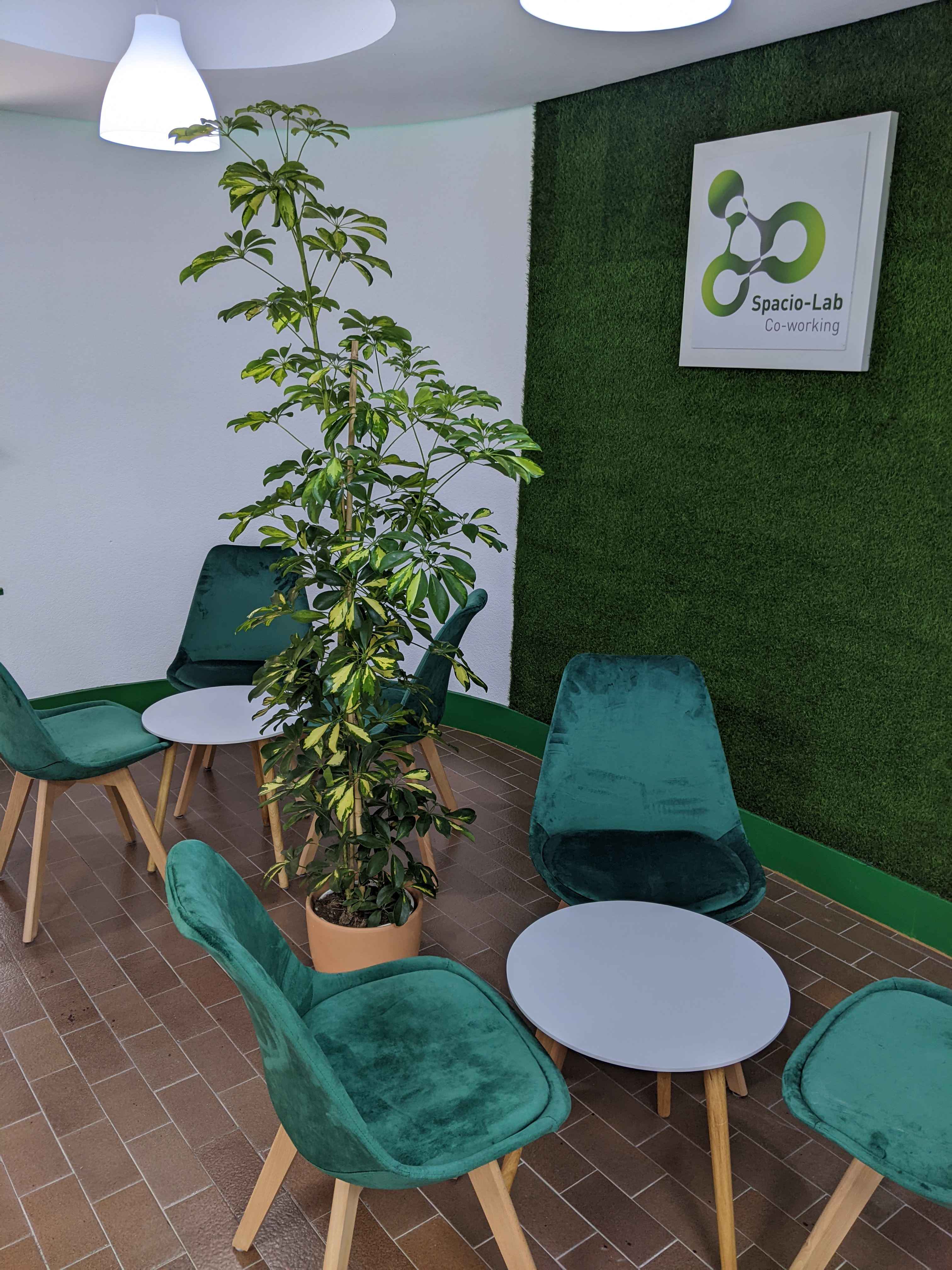 Spacio-Lab Co-Working image 4