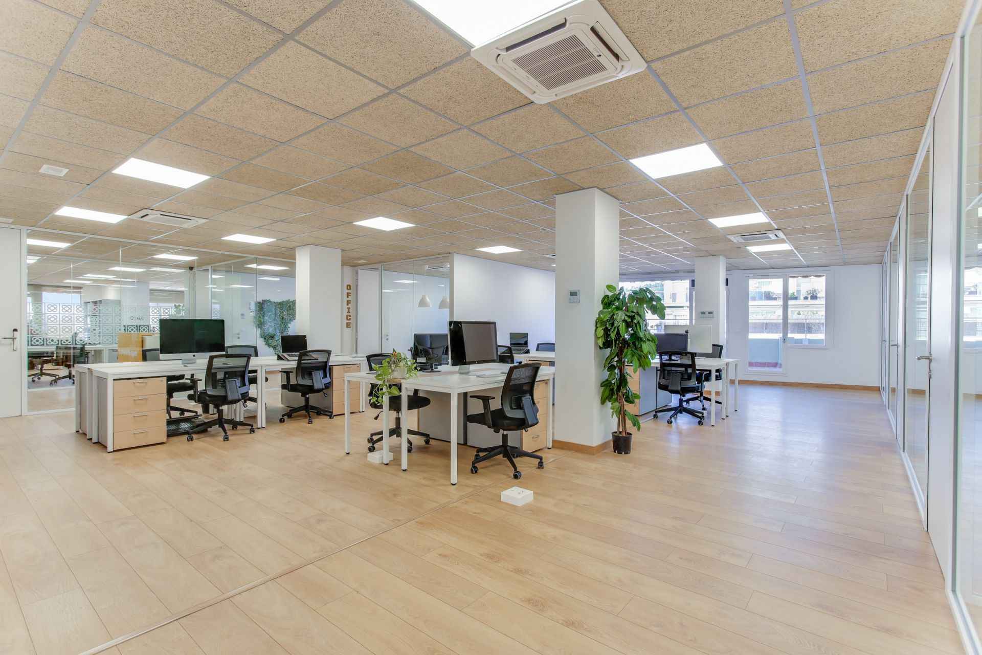 FlyCowork image 3