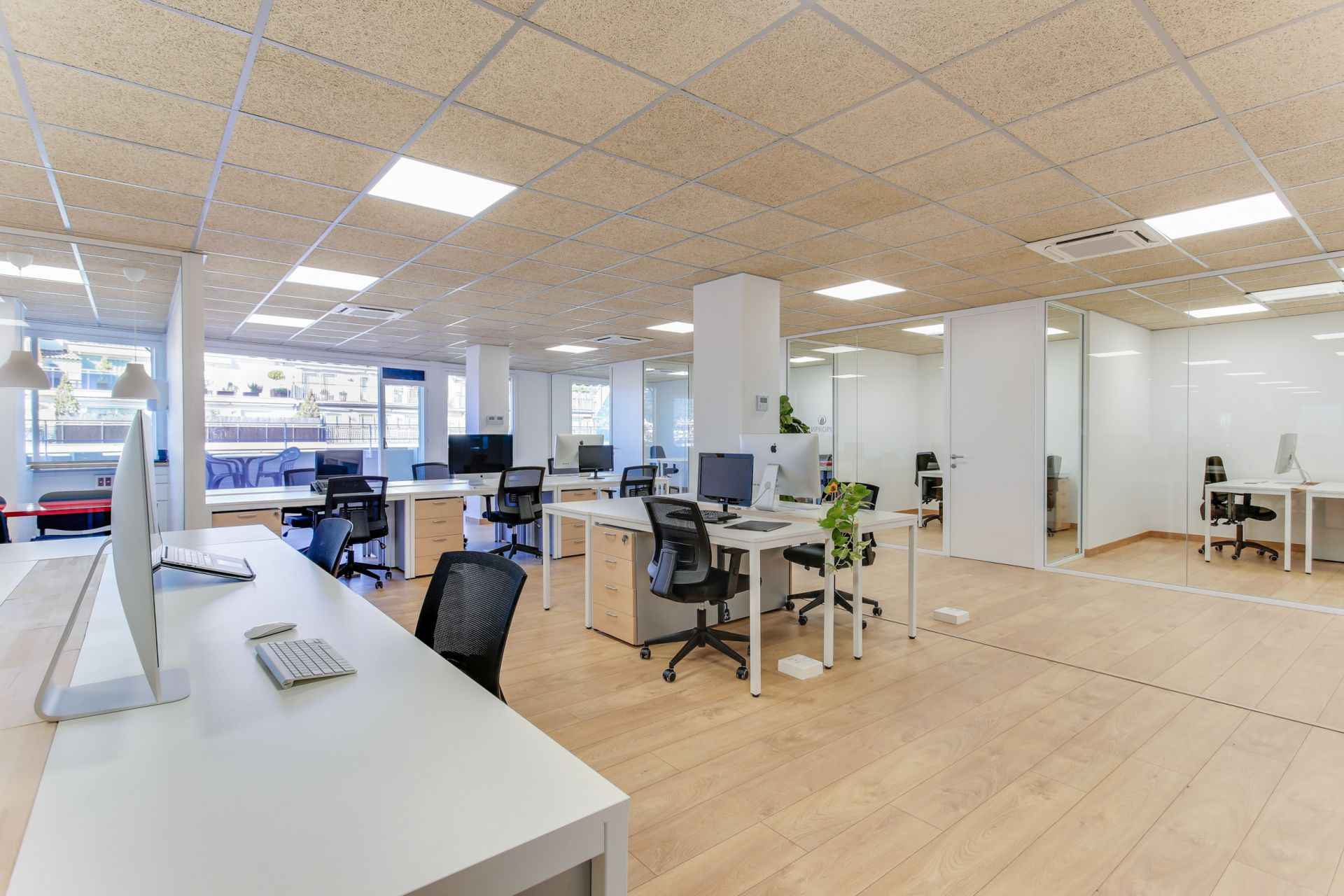 FlyCowork image 4