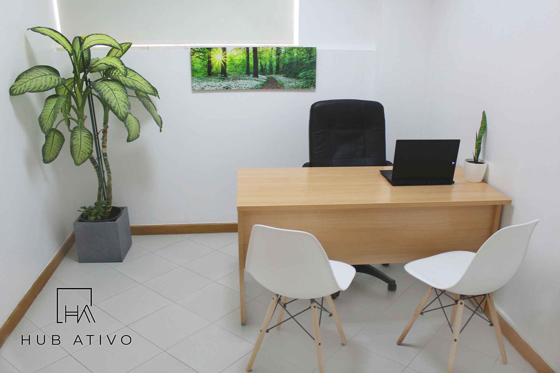 HUB Ativo image 1
