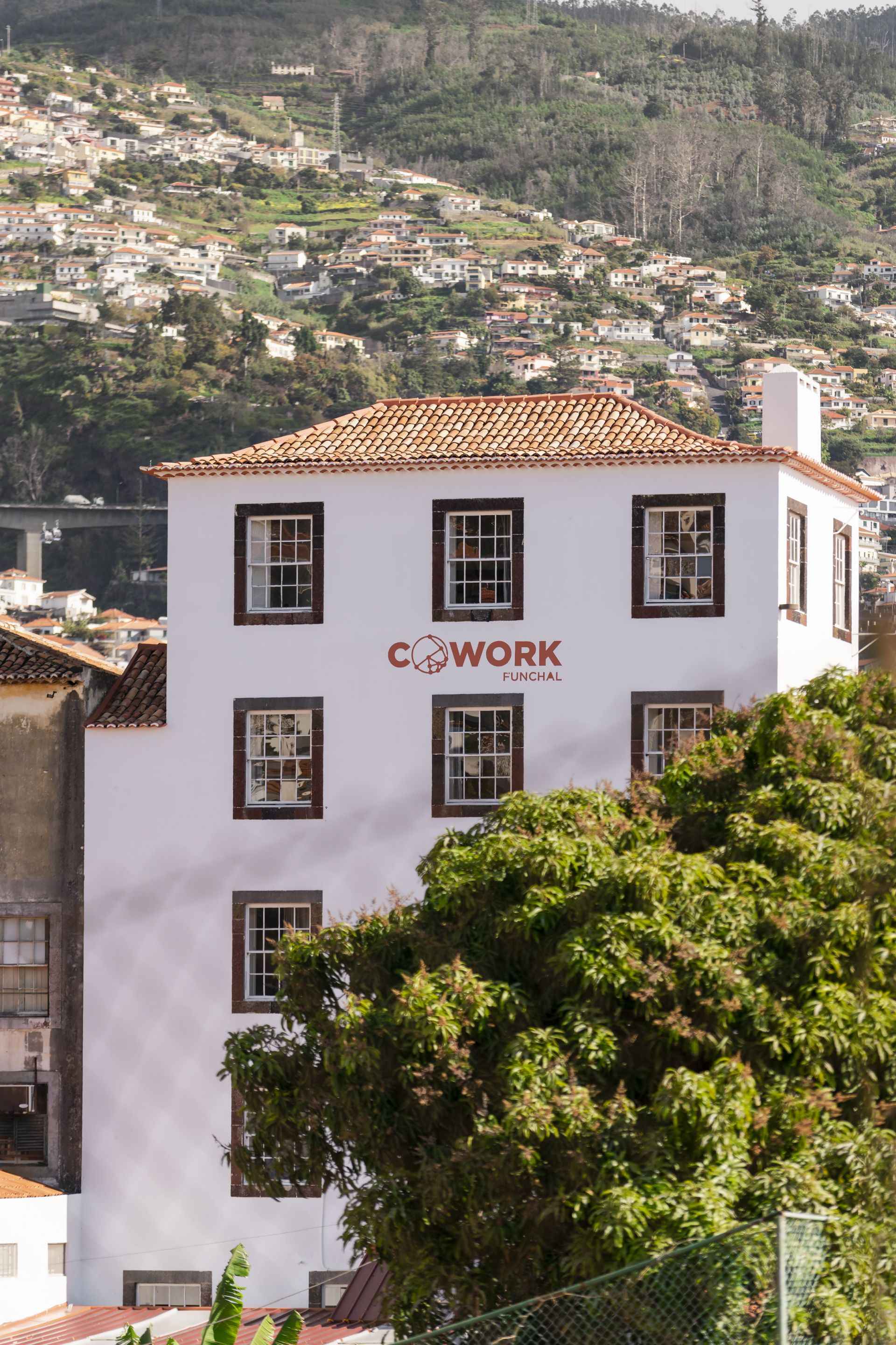 Cowork Funchal image 3